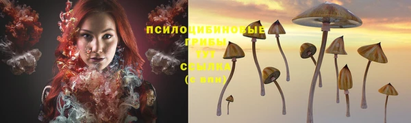 крисы Арсеньев