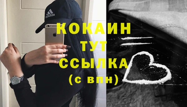 крисы Арсеньев