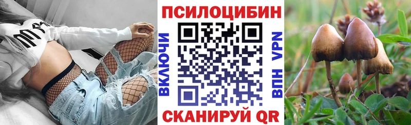 мориарти какой сайт  сколько стоит  Асино  Псилоцибиновые грибы мицелий 
